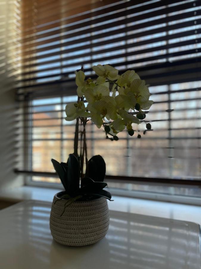 Stunning 1 Bed Flat In The Heart Of Greenwich Londra